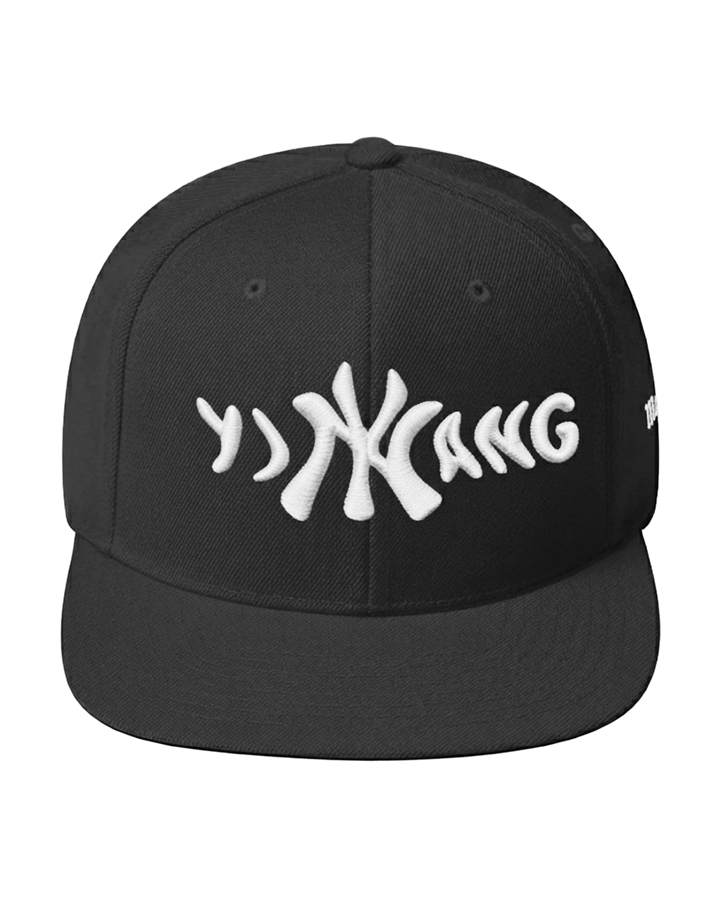 yiNYang Snapback Hat