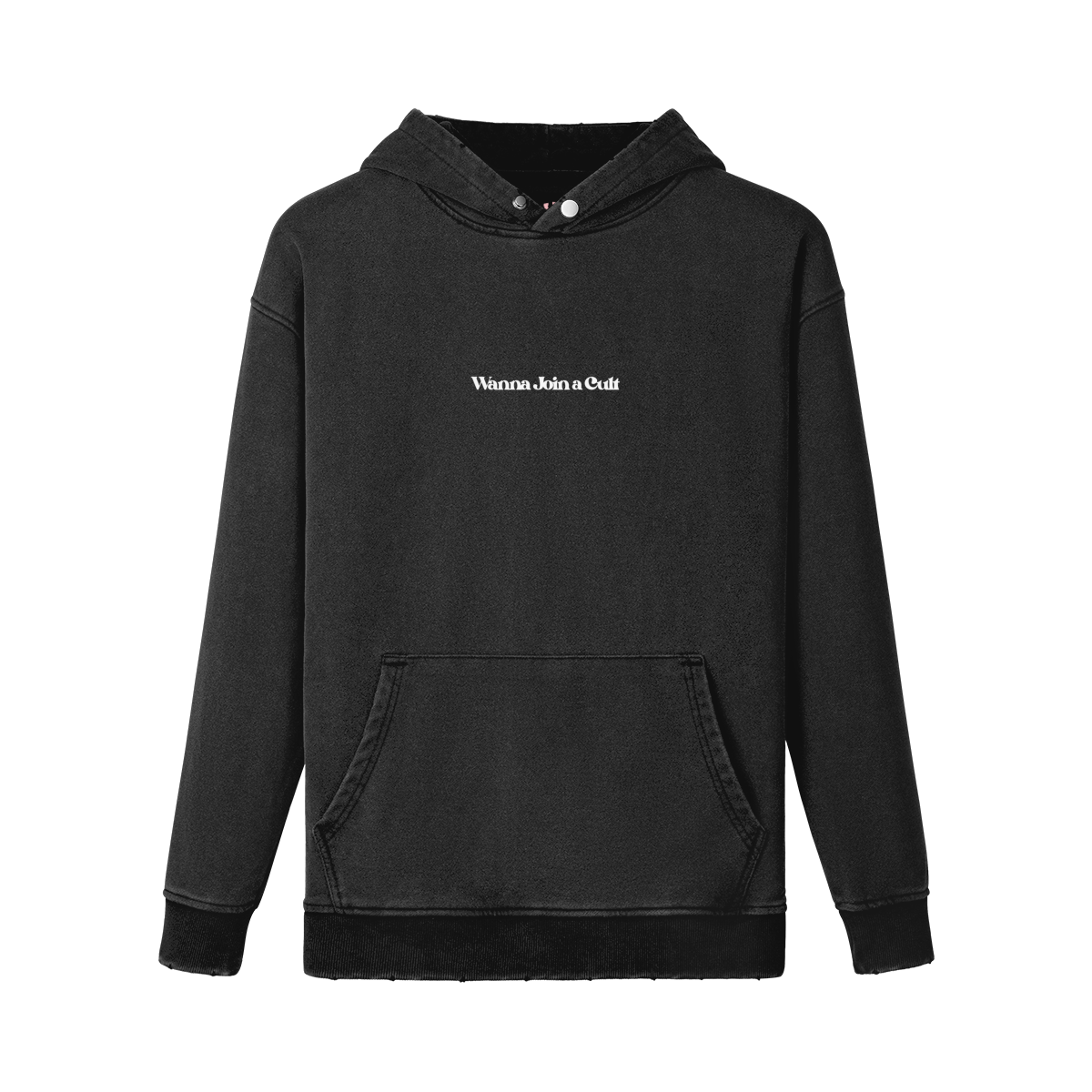 Wanna Join a Cult Hoodie